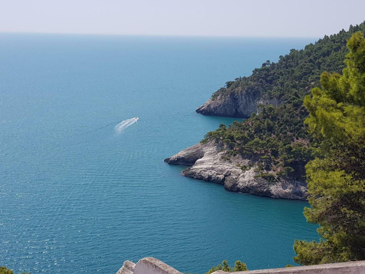 Villa Cala Della Pergola Vieste Eksteriør billede