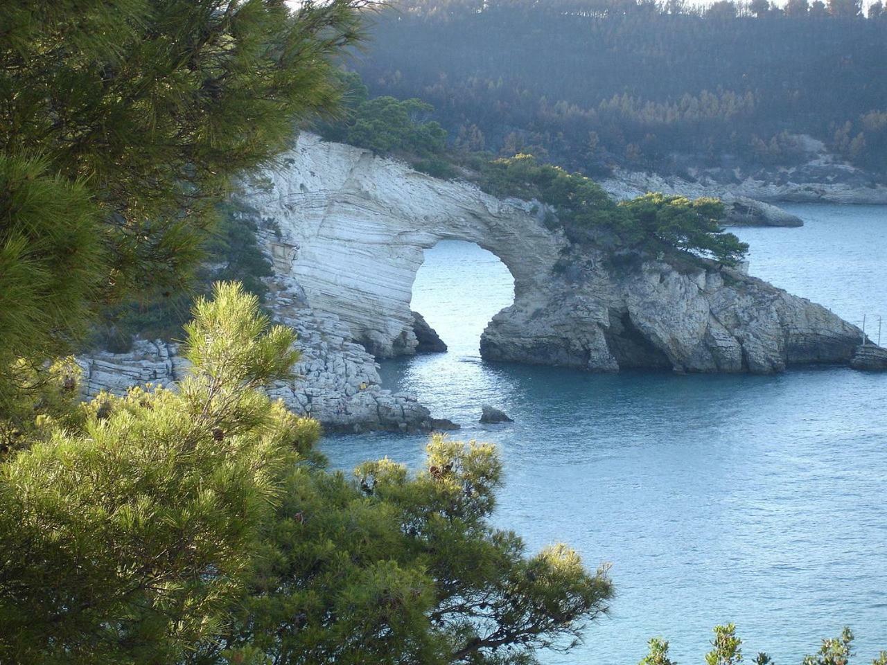 Villa Cala Della Pergola Vieste Eksteriør billede